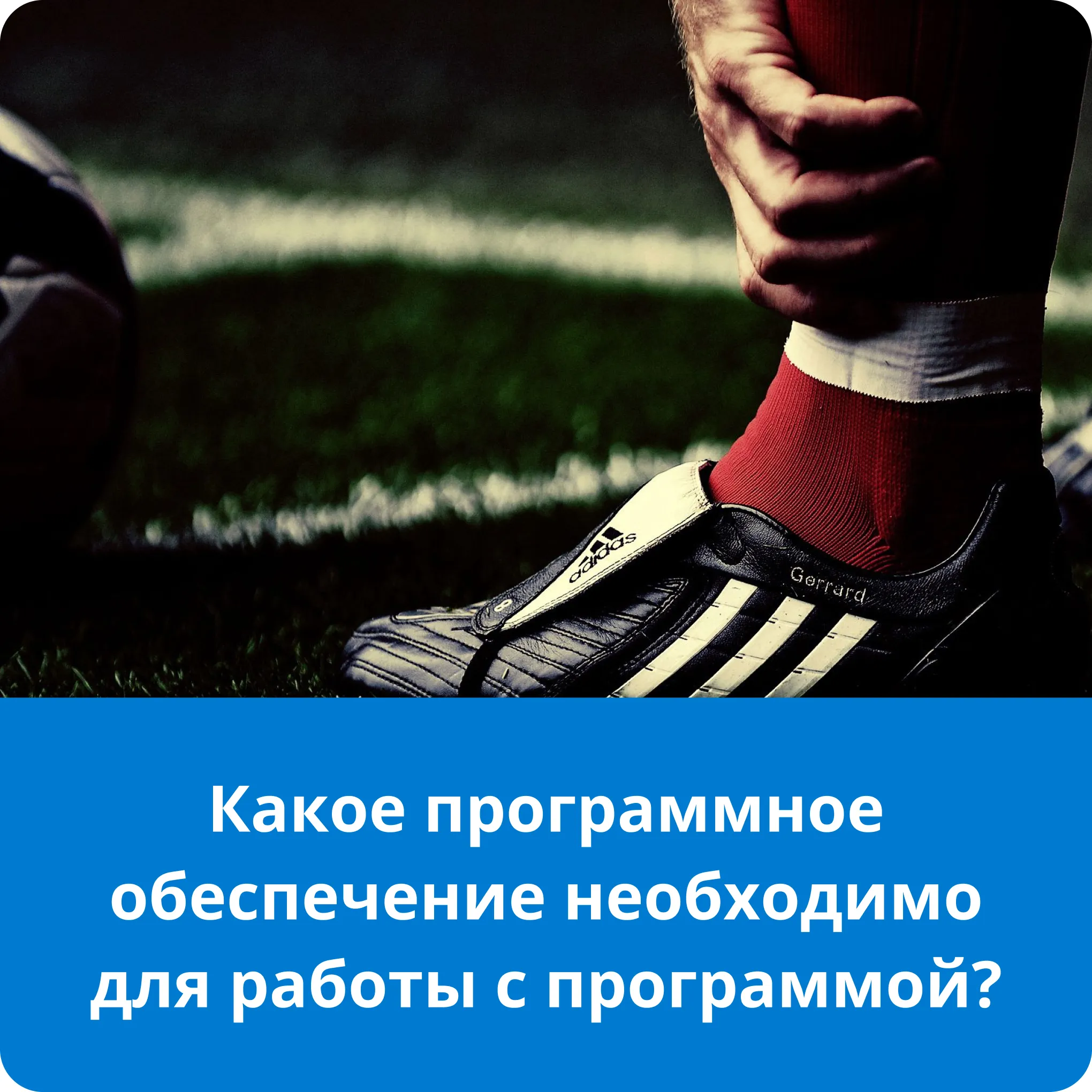 1xbet